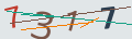 verifycode
